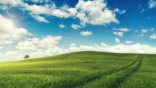 「114年度中小學教育菁英班校長甄試實作課程」